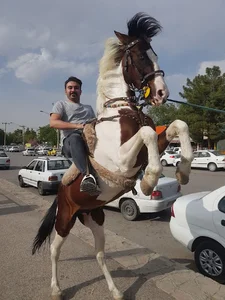 اسب سواری