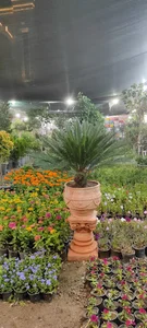 گلسرای بهار