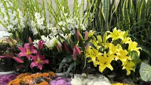 گلفروشی شهرگل ارمی