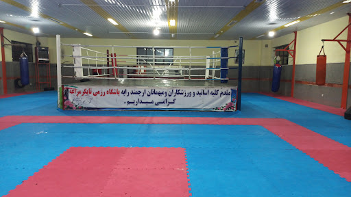 باشگاه رزمی تایگر