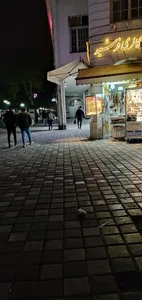 بدلیجات رشت گالری فرشید 2