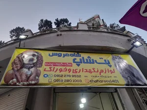 پت شاپ شاه. عروس