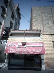 مرغ آذران 2