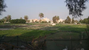 مزارع الجهراء القديمة