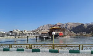 رستوران شبهای شیراز