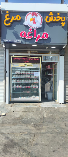 پخش مرغ مراغه꧂