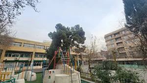 دبستان و راهنمايى نيكان