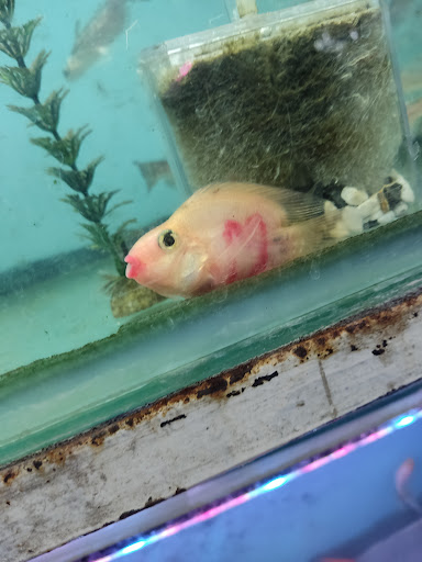 Marjan Aquarium