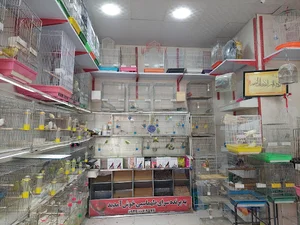 پرنده سرای طهماسبی