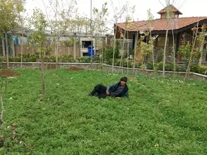 اداره ثبت اسناد و املاک شهرستان محلات