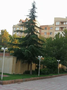 مجتمع مسکونی گلها