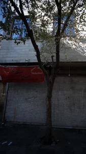 ساده سرای مهرشاد 2