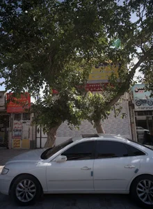 فروشگاه لوازم خانگی ابراهیمی 2