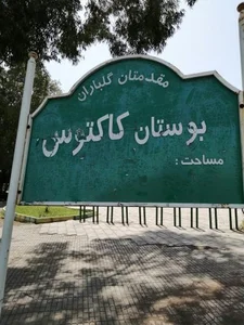 بوستان کاکتوس 2