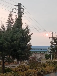 دیانتی