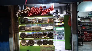 خدمات دزدگیر و سیستم امیر