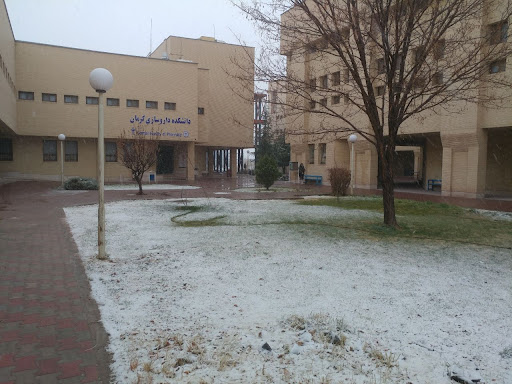 دانشکده داروسازی کرمان Faculty of Pharmacy, Kerman University of Medical Sciences