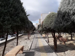 بوستان فاخته