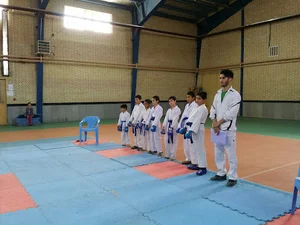 آکادمی کاراته شینتو