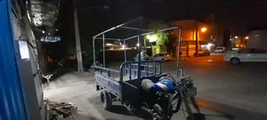 باربند سازی پنجه طلا