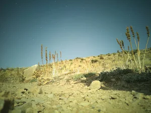 چشمه ناری