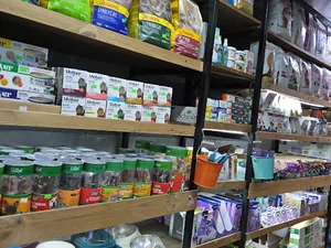 Petly PetShop