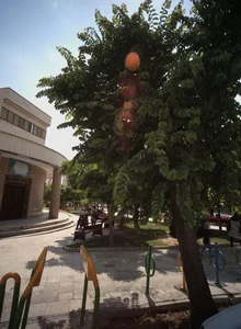 زورخانه وحدت 2