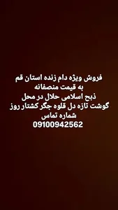 فروش دام گوسفند زنده فلاح