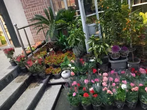 سرای محله اباذر