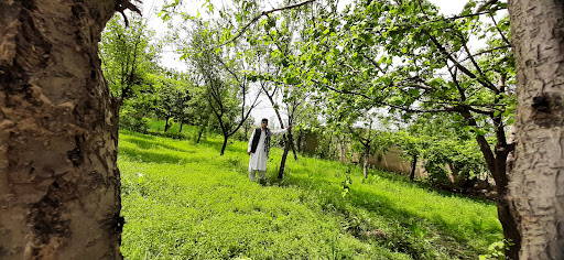 سرک ده