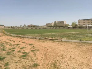 زمین چمن دانشگاه آزاد