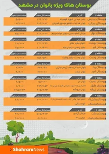 ظروف کرایه بابایی