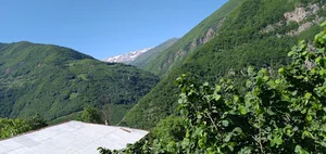 بارگاه دشت