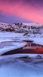 مسجد قمر بنی هاشم