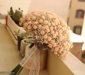 گلکده بهشت امید