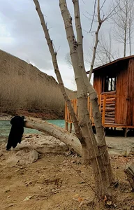 مهمانسرا و چایخانه ی درویش