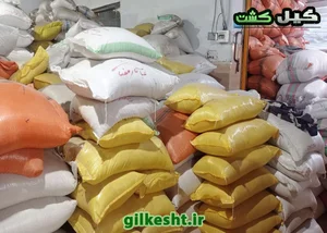 کارخانه برنجکوبی زمان کرامتی