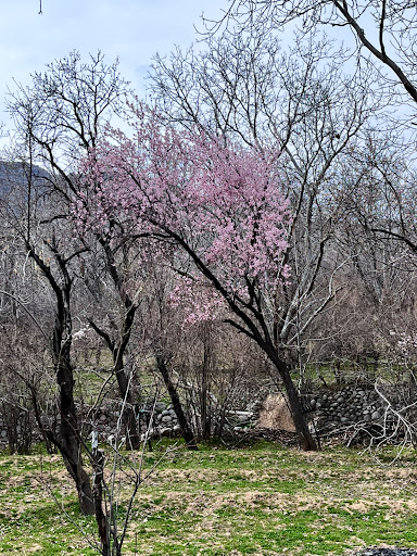 چشمه صحرای خونار