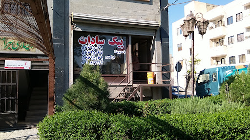 پیک سادات