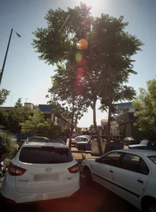 آهن هاشمی 2