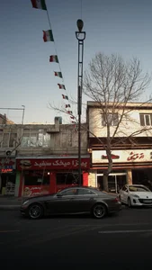 پیتزا میخک سفید 2