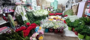 پخش گل طبیعی حاتم یار 2