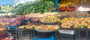 میوه فروشی شیردل