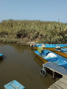 ساحل تفریحی