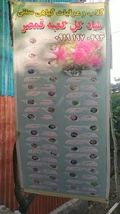 گلاب گیری عطرینه شادگل