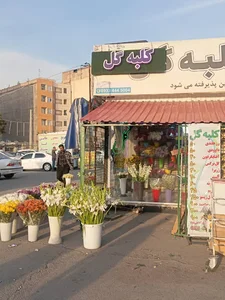 کلبه گل مترو