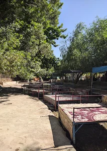 باغات حسین آباد