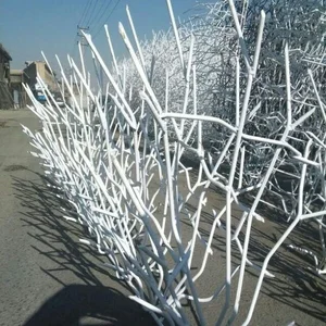 طهران حفاظ 2