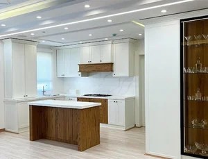 کابینت آراکس