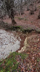 روستای طلاجو